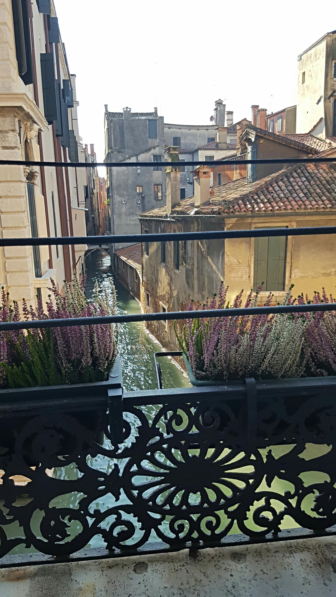 ונציה Casa Pisani Canal מראה חיצוני תמונה
